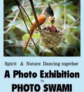 Exhibition by "PHOTO SWAMI"